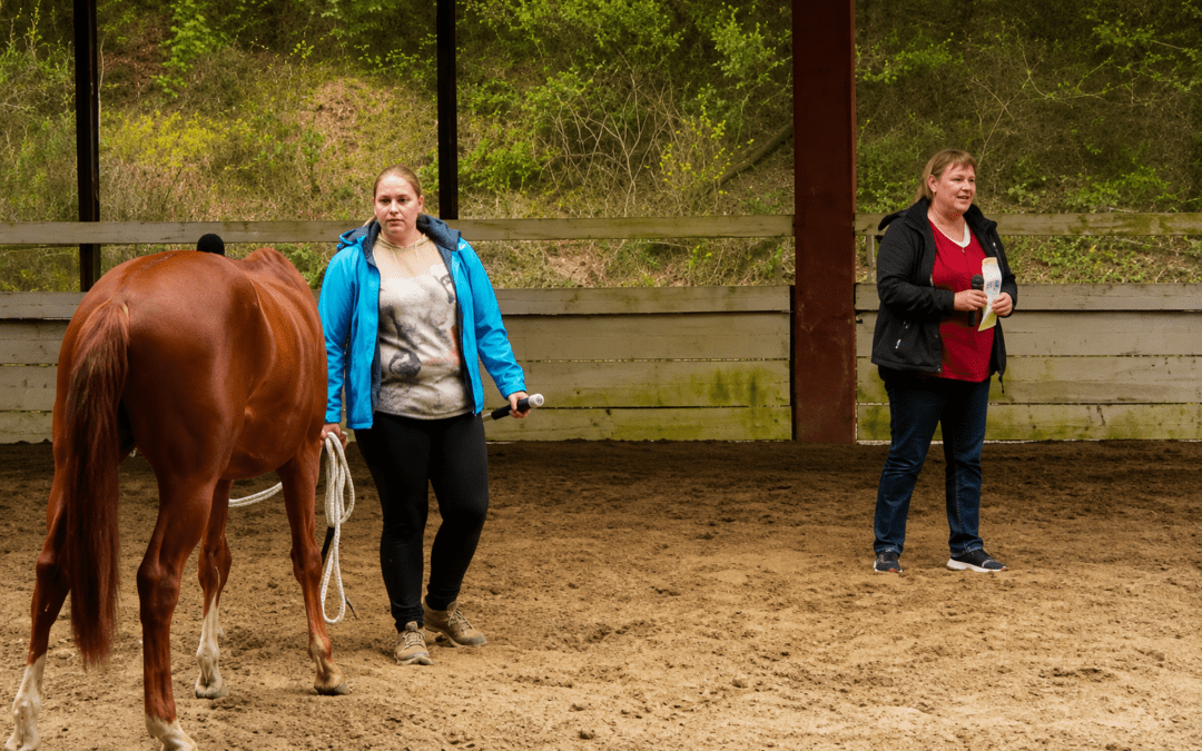 2018: IPG Reken ANGSTFREI REITEN – LIVE IM REITRING
