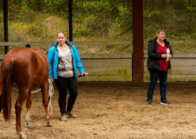 2018: IPG Reken ANGSTFREI REITEN – LIVE IM REITRING