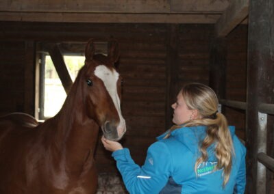2018: IPG Reken ANGSTFREI REITEN – LIVE IM REITRING