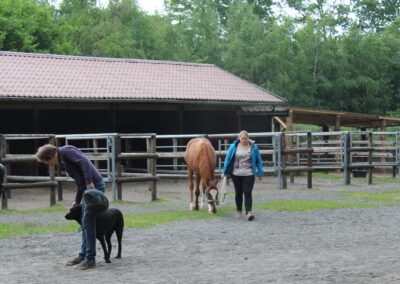 2018: IPG Reken ANGSTFREI REITEN – LIVE IM REITRING