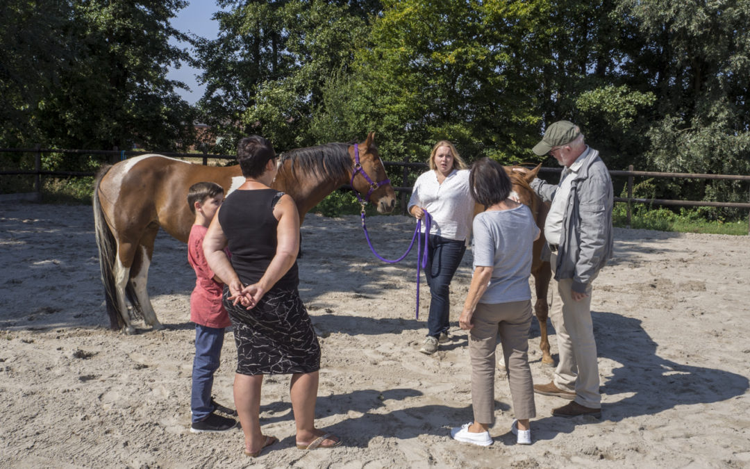 7 Dinge die wir von Pferden lernen können