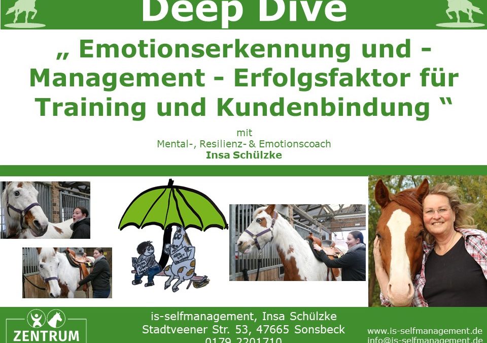 Deep Dive: Emotionsmanagement als Erfolgsfaktor für Training und Kundenbindung