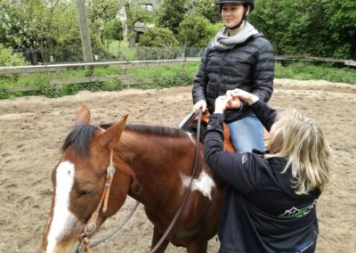 Angstfrei reiten Coach