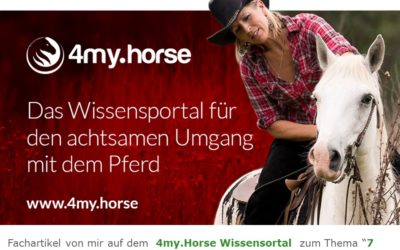 2018 4my.Horse Fachbeitrag “7 Dinge gegen Angst im Sattel”