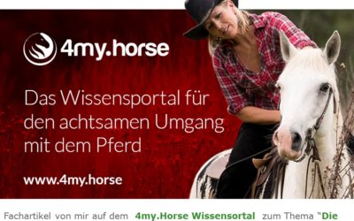 2018 4my.Horse Fachbeitrag “Die Macht der Gedanken”