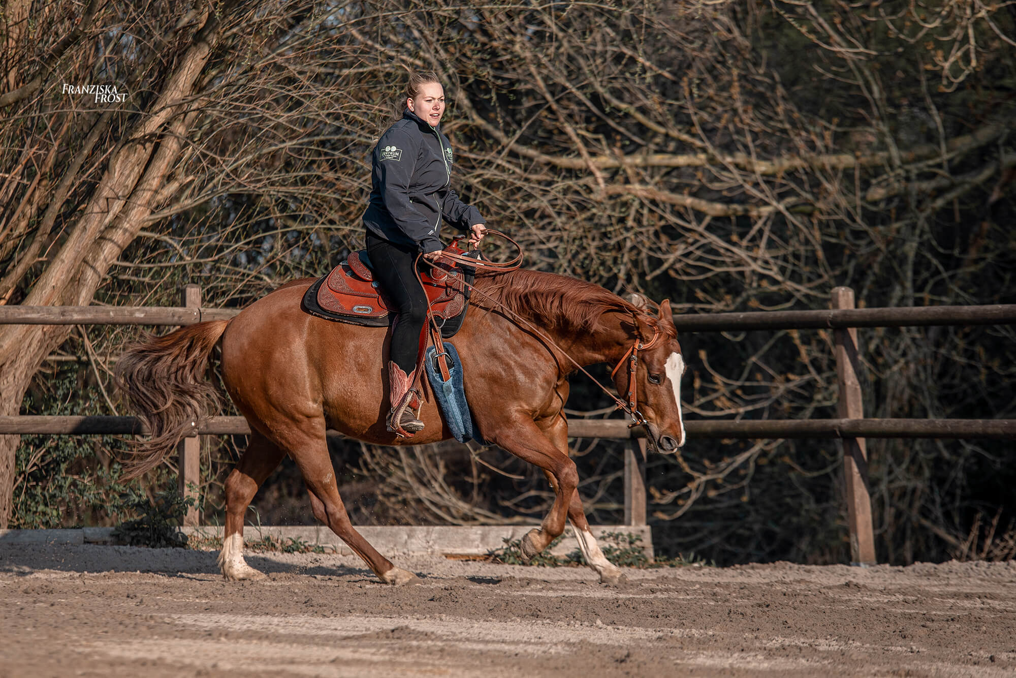 Angst im Galopp