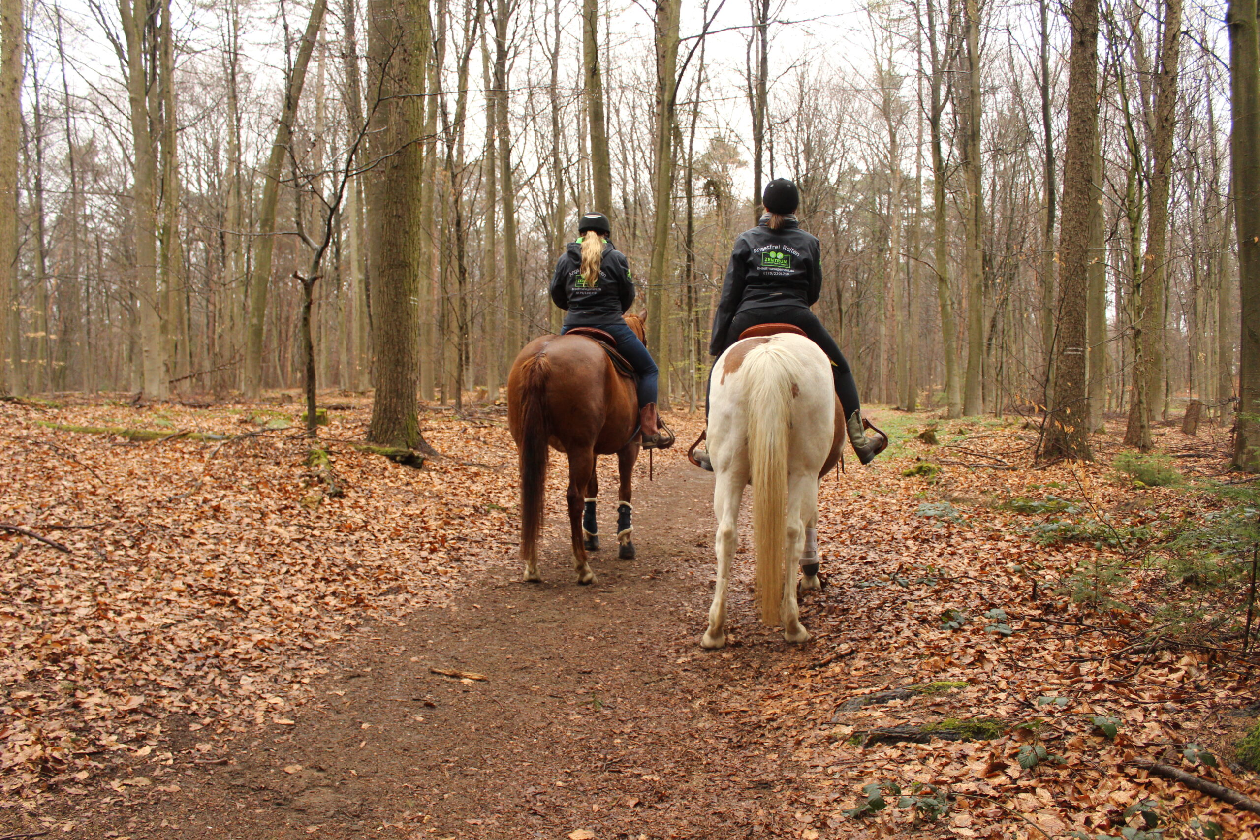Ausreiten im Wald