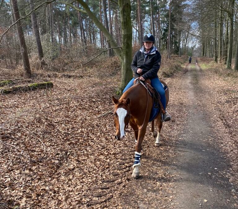 Angst beim Reiten – immer noch ein Tabuthema?