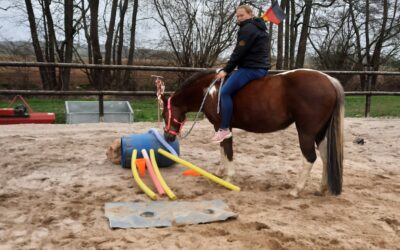 Wie Du Dein Pferd mental stärken kannst: Tipps und Tricks