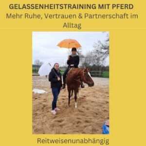 Ausbildung Emotions-Reitcoach 6 Alltagssituationen mit Pferd souverän meistern
