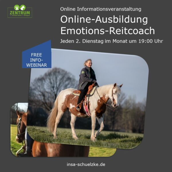 Online-Ausbildung Emotions-Reitcoach