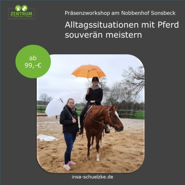 Gelassenheit mit Pferd