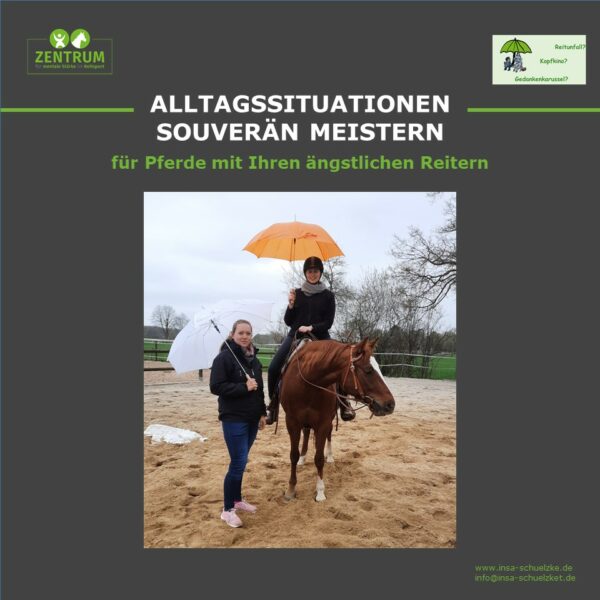 Angstfrei Reiten Alltagssituationen