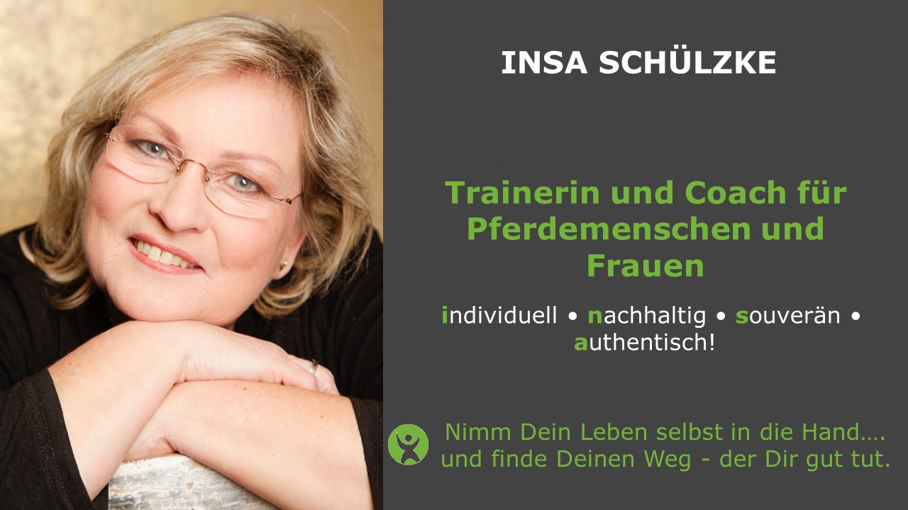 Insa Startbild2 Insa Schuelzke