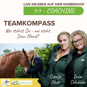 TeamKompass Pferd Mensch