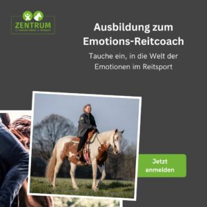 Ausbildung Emotions-Reitcoach Webseite