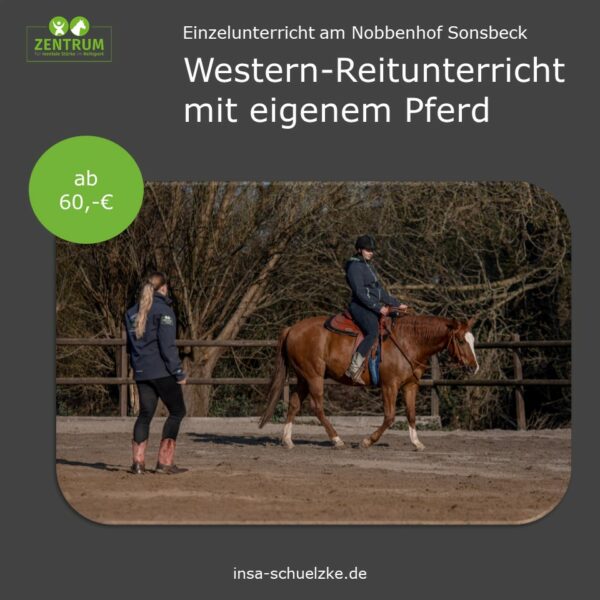 Reitunterricht Svenja Obst