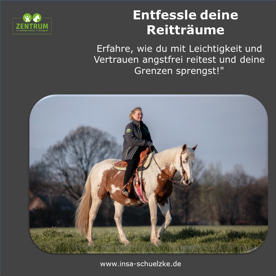 ngo-illustration-Artboard 5 Entfessle Deine Reitträume