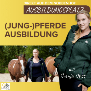 (Jung-)Pferdeausbildung