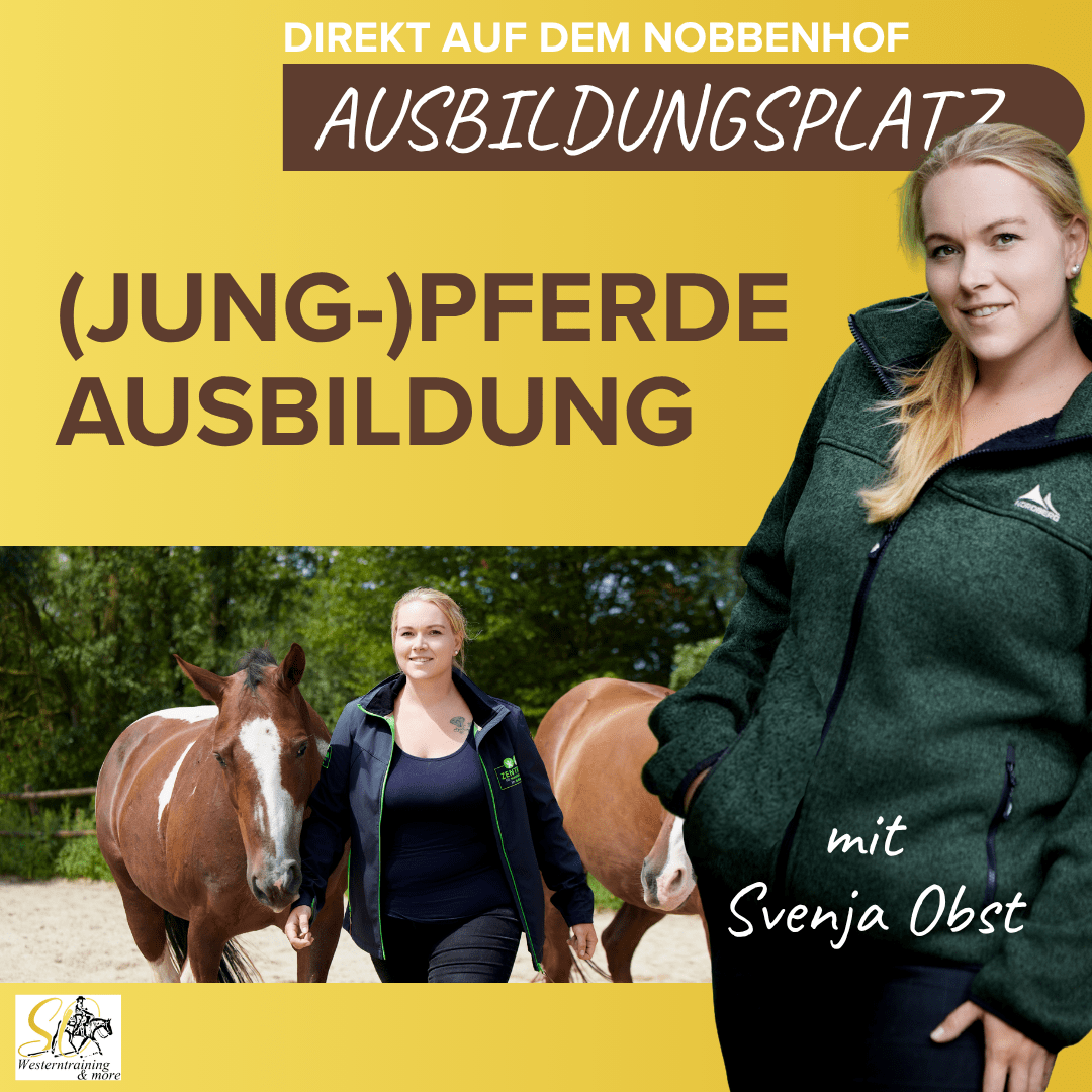 (Jung-)Pferdeausbildung