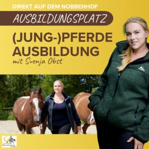 (Jung-) Pferdeausbildung