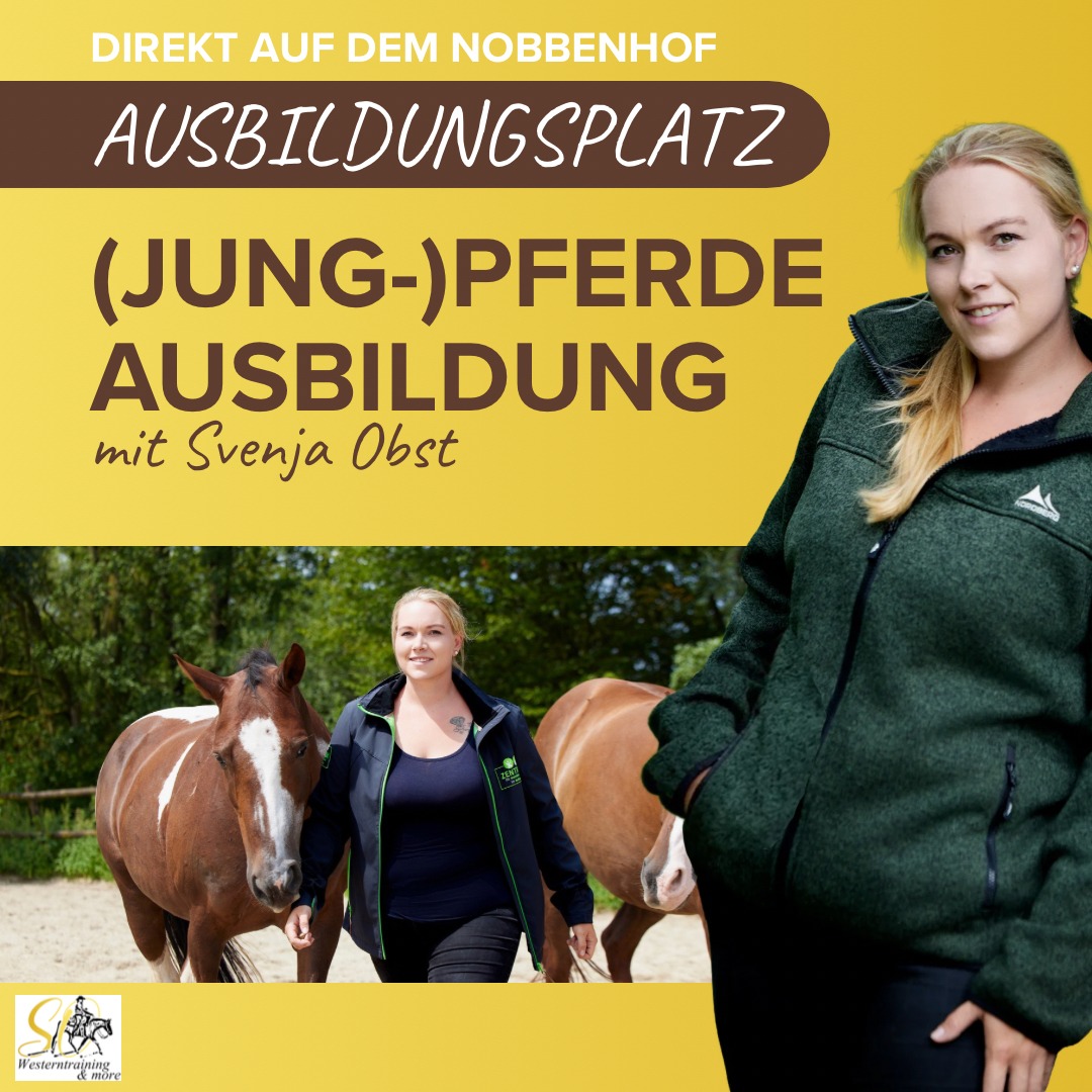 (Jung-) Pferdeausbildung