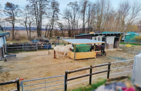 Urlaub mit Pferd