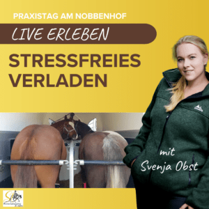 Stressfreies Verladen