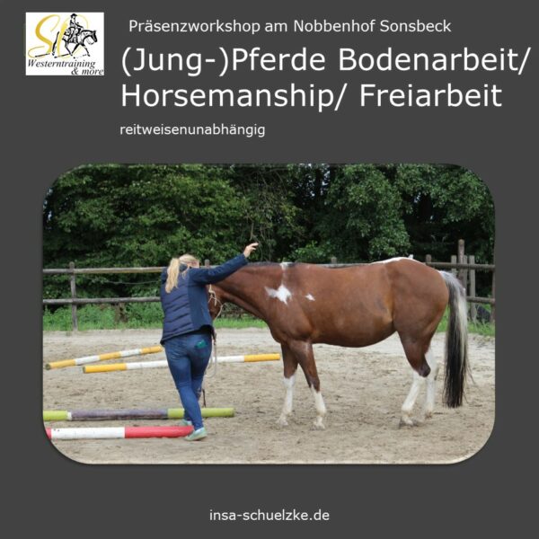 Bodenarbeit Horsemanship