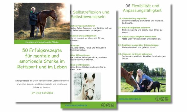 Vorschau 50 Erfolgsrezepte für mentale Stärke