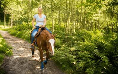 Mentale und emotionale Stärke im Leben und im Reitsport 33 Entspannt Reiten, ganz ohne Angst
