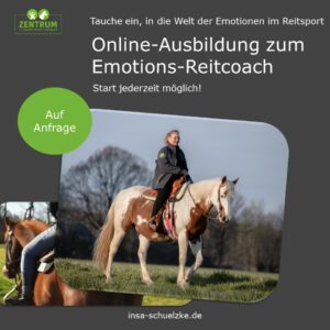 Ausbildung Emotions-Reitcoach