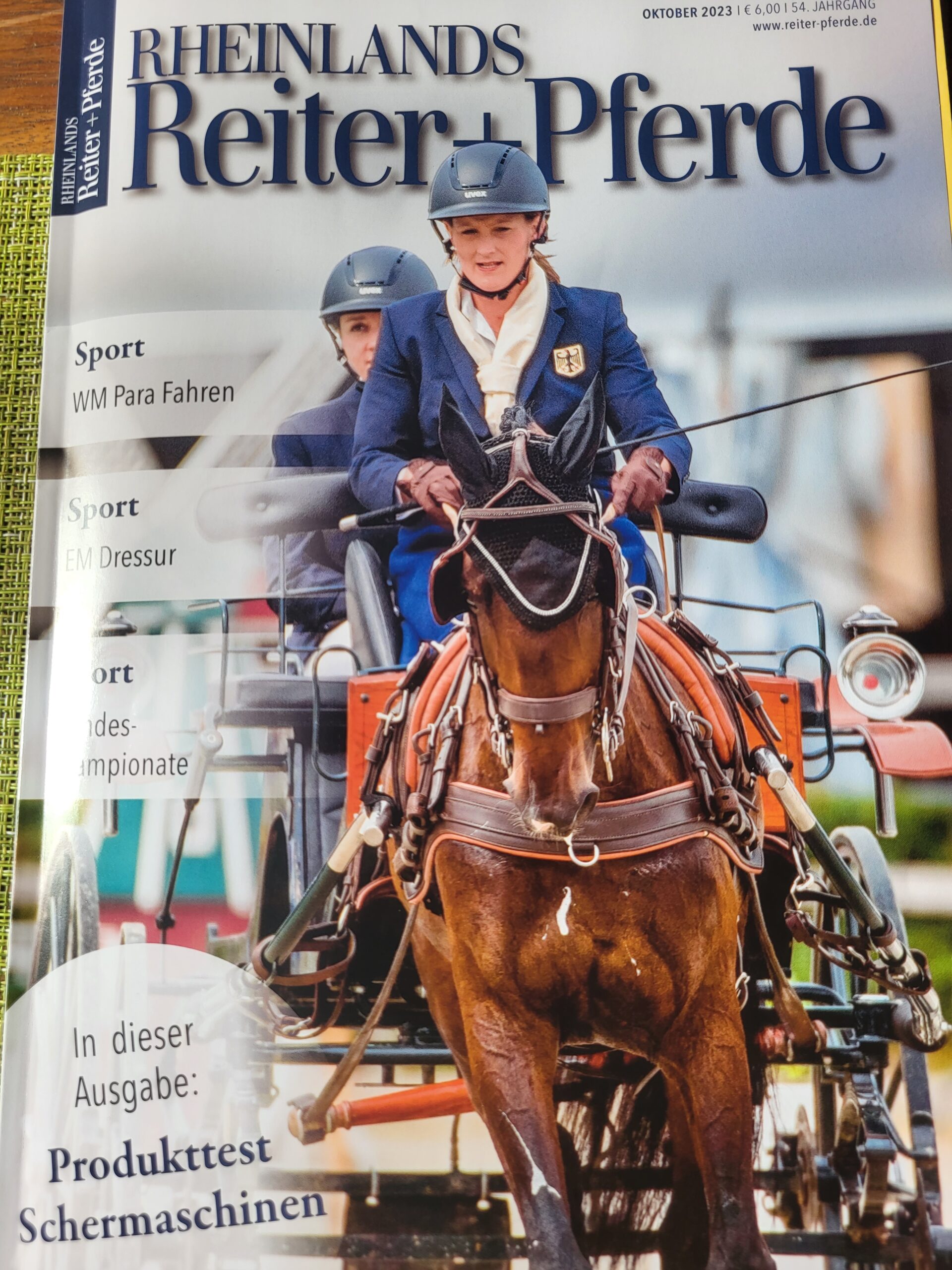 Insa Schülzke Rheinlands Reiter und Pferde