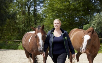 Bodenarbeit als Fundament – Der erste Schritt beginnt nicht im Sattel