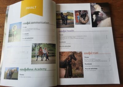 2024: Mindfulhorse ANGSTFREI REITEN