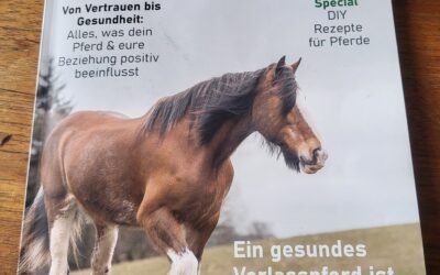 2018: 7 Dinge, die wir von Pferden lernen können 1 2024: Was Du hast Angst vor deinem Pferd?