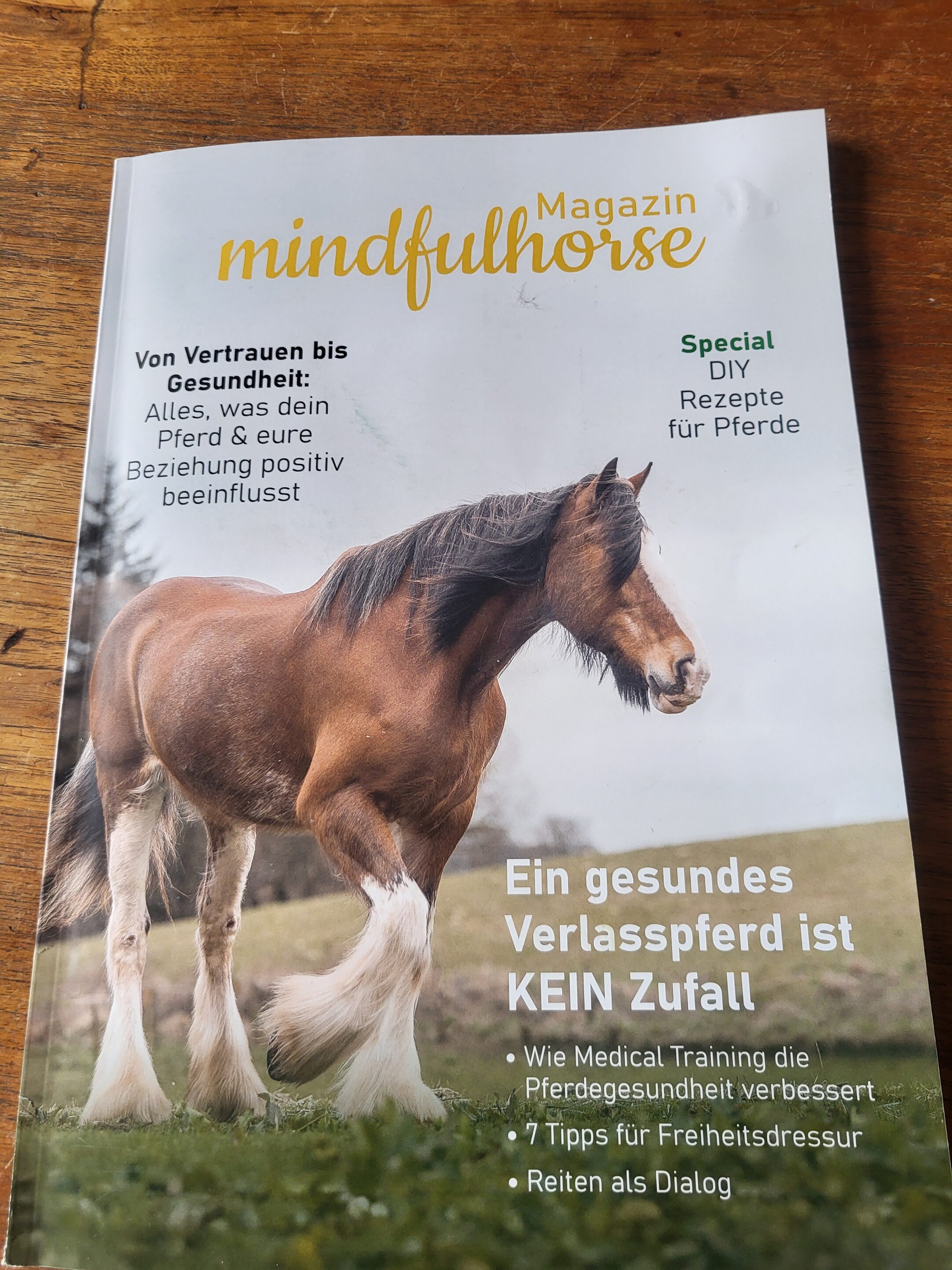 2024: Mindfulhorse ANGSTFREI REITEN