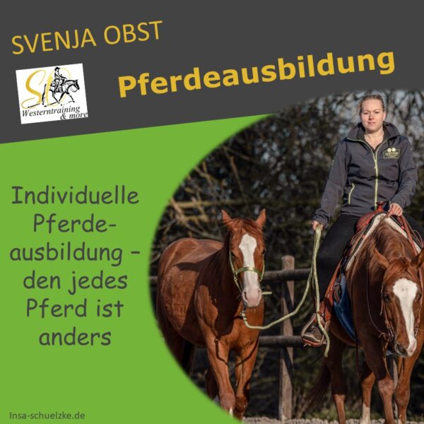 Pferdeausbildung Svenja Obst