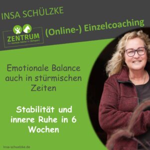 Insa Schülzke Angebot Coaching