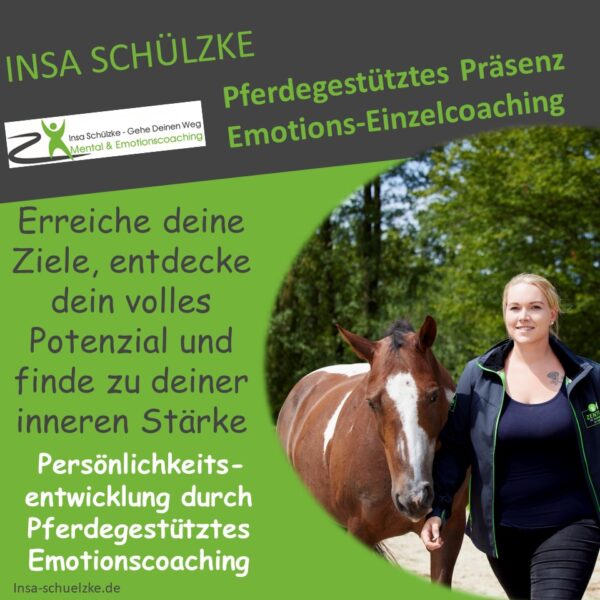 pferdegestütztes Emotionscoaching