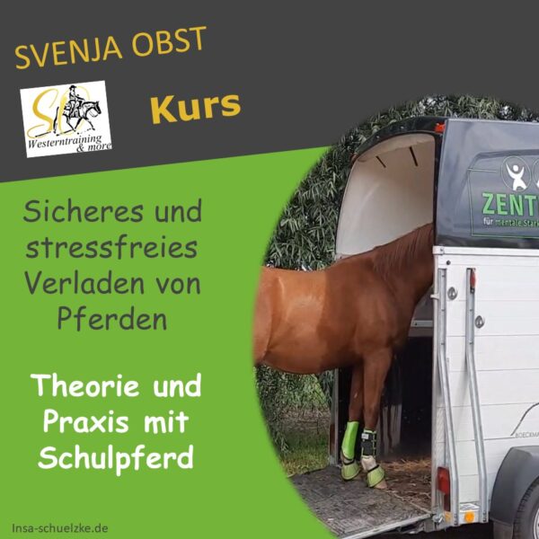 Kurs Verladetraining Svenja Obst