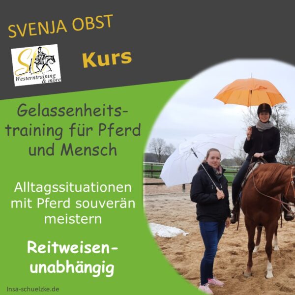 Kurs Gelassenheit Svenja Obst