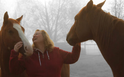 Partner Pferd oder Chef im Stall? Wenn Harmonie zur Ausrede wird!