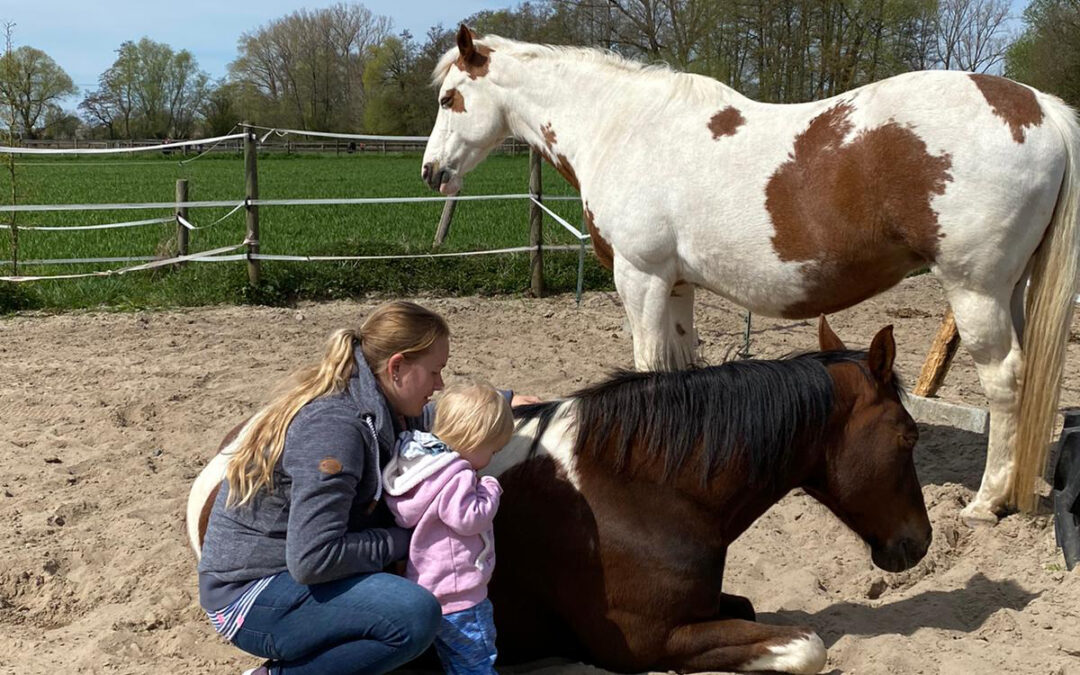 Wenn der Mensch wirklich will – warum sabotieren wir dennoch die Partnerschaft mit unserem Pferd?