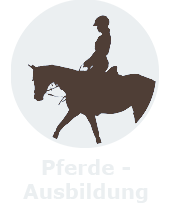 Pferdeausbildung1 Kopie 2