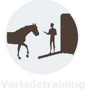 Verladetraining Kopie 2