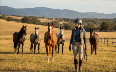Herde betreten? Das solltest du unbedingt beachten!