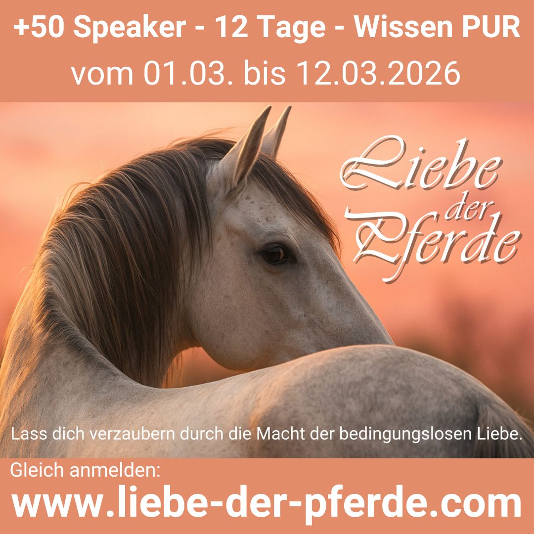 Kongress-Banner Q allg