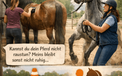 Mentale und emotionale Stärke im Leben und im Reitsport 33 Rücksicht oder Verantwortung?