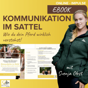 ebook Kommunikation im Satte